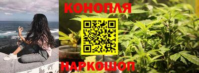 амф Кандалакша