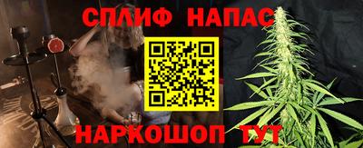 амф Кандалакша