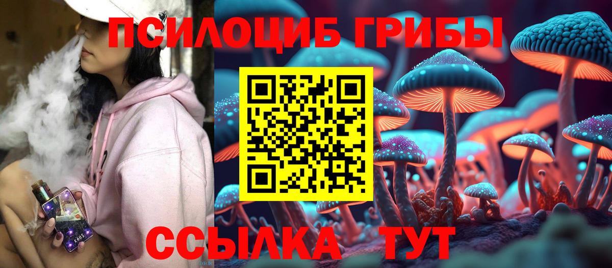Шадринск  Галлюциногенные грибы Cubensis  Вход с VPN 