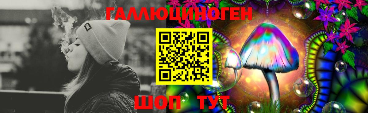 Псилоцибиновые грибы GOLDEN TEACHER Шадринск